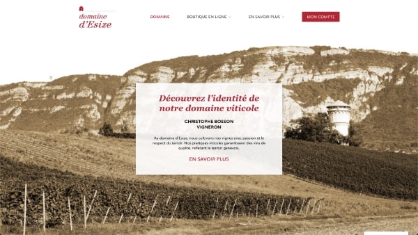 domaine d'esize minature-min